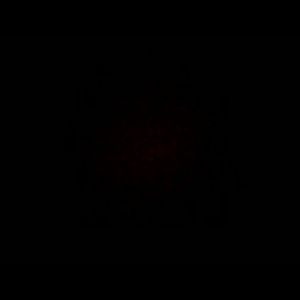 Meet your Posher, Jlee